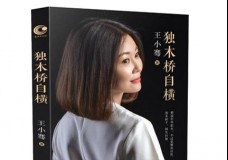 独木桥自横