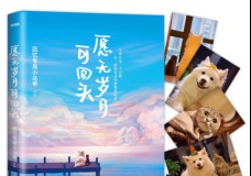 愿无岁月可回头