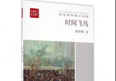 时间飞鸟