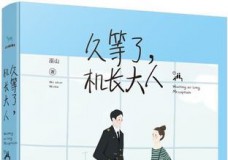 久等了，机长大人