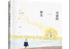 可爱的骨头