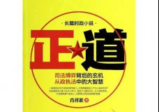 正道:司法博弈背后的玄机从政执法中的大智慧
