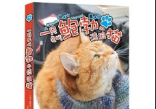 一只名叫鲍勃的流浪猫