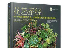 花艺圣经：100种花艺装饰的方法，让你的家在任何季节都生机勃勃
