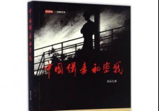 中国缉毒秘密战