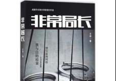 非常局长