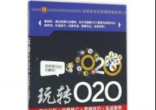 玩转O2O:商业分析+运营推广+营销技巧+实战案例