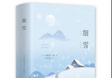 细雪 细雪