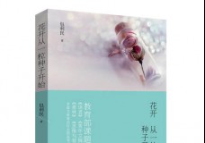 花开从一粒种子开始