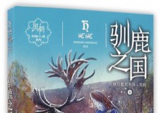 驯鹿之国