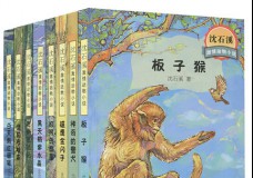 沈石溪激情动物小说系列