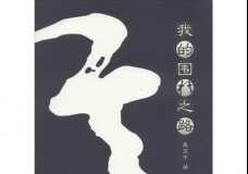 我的围棋之路