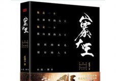 山寨大王