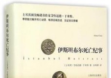 伊斯坦布尔死亡纪事