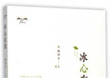 冰心在壶