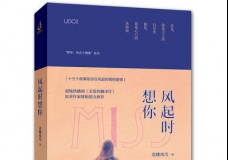 风起时想你