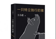 一只特立独行的猪
