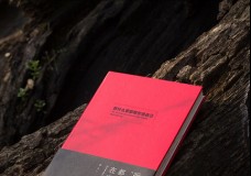 听什么歌都像在唱自己