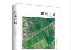 出麦田记