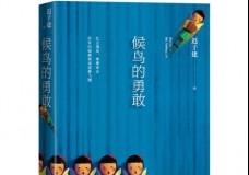 候鸟的勇敢