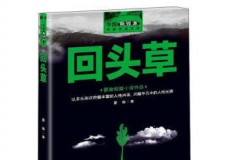 回头草