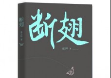 断翅